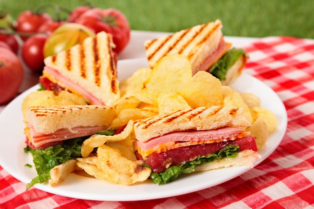 Panino di prosciutto e formaggio sul tavolo da picnic