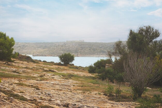 Panorama del mare