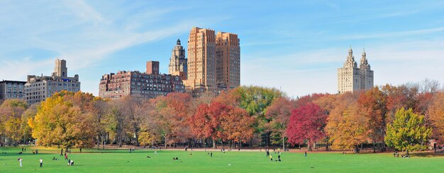 Panorama di Central Park di New York City in autunno