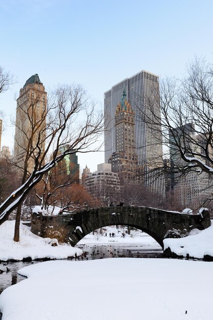 Panorama di Manhattan Central Park di New York City in inverno con neve, ponte; lago ghiacciato e grattacieli al tramonto.