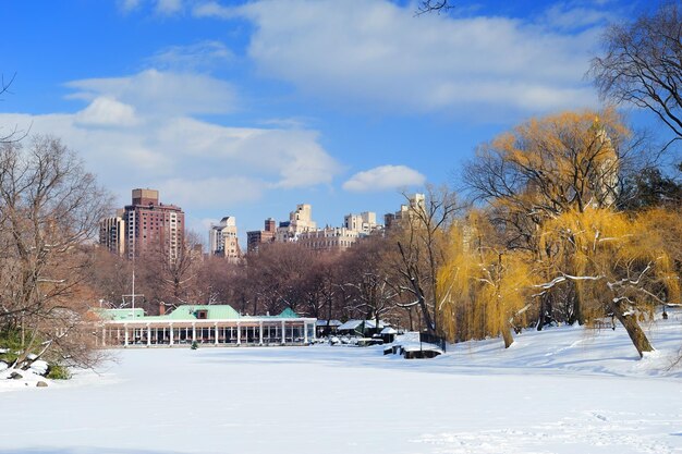 Panorama di Manhattan Central Park di New York City