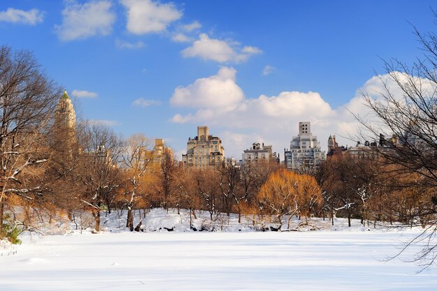Panorama di Manhattan Central Park di New York City
