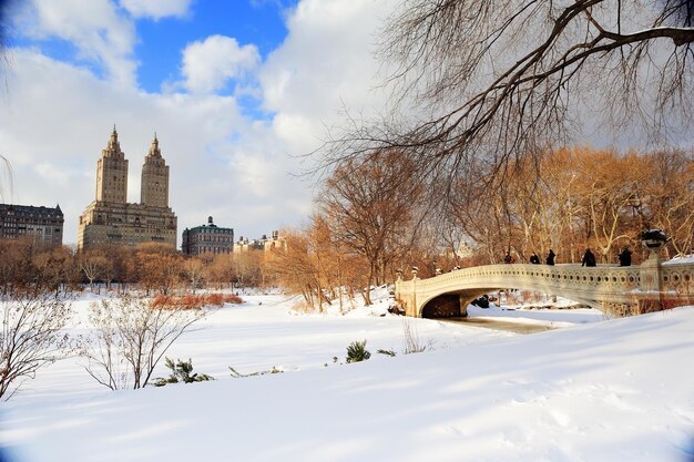 Panorama di New York City Manhattan Central Park in inverno