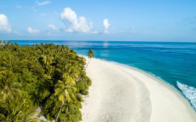 Panoramica della spiaggia e degli alberi sull'isola delle Maldive