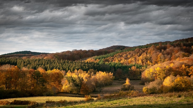 Panoramica delle colline boscose con un cielo nuvoloso nei precedenti al giorno