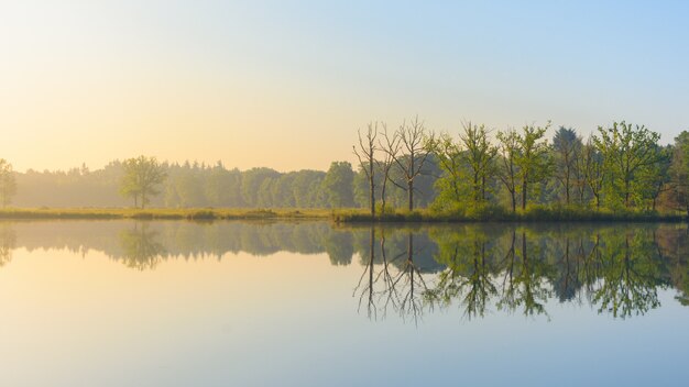 Panoramica di acqua che riflette gli alberi a foglia verde sulla riva sotto un cielo blu