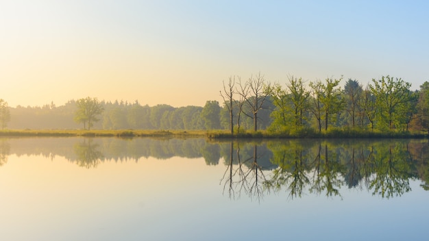 Panoramica di acqua che riflette gli alberi a foglia verde sulla riva sotto un cielo blu