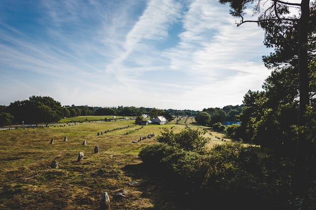 Panoramica di un campo di erba circondato dagli alberi sotto un chiaro cielo