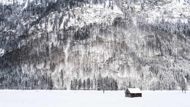 Panoramica di una piccola cabina di legno su una superficie nevosa vicino a montagne e alberi coperti di neve