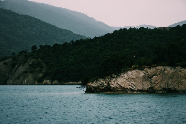 Panoramica di una scogliera coperta di alberi verdi dal mare