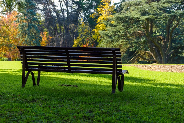 Foto gratuito parcheggiare le panchine