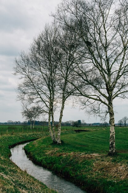 parco coperto di vegetazione sotto un cielo nuvoloso a Teufelsmoor, Osterholz-Scharmbeck