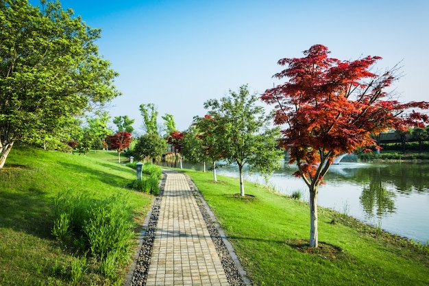 Parco naturale all&#39;aperto e sentiero pedonale su strada