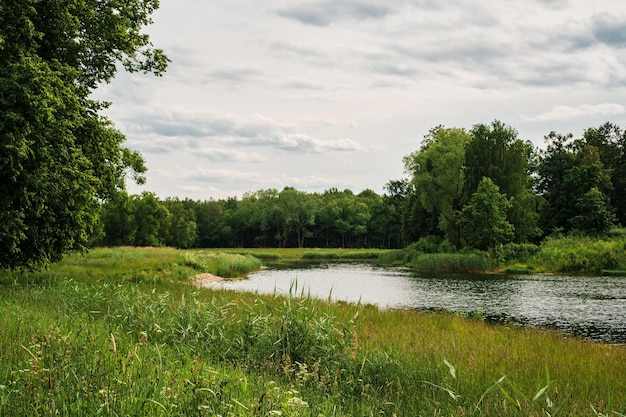 Parco verde con un lago in estate con tempo nuvoloso il picco dell'estate è il mese delle vacanze di giugno Idea di sfondo o banner