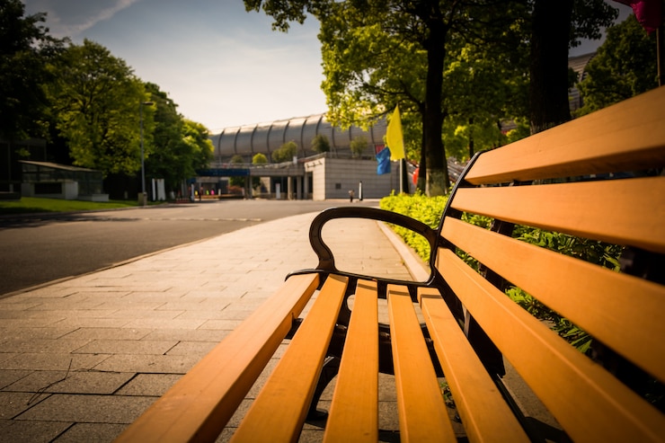 Foto gratuito parco