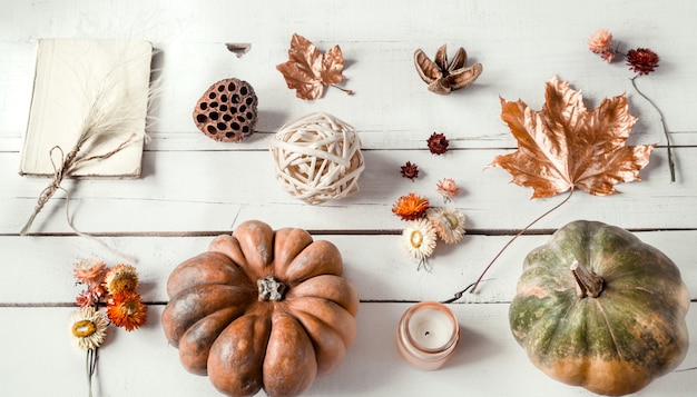 Parete autunnale con diversi oggetti e zucca. Flat-lay.