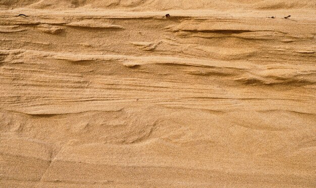 Parete di fondo con struttura in arenaria naturale tagliata su una duna di sabbia o uno sfondo sabbioso di dune per disegni o sfondi estivi