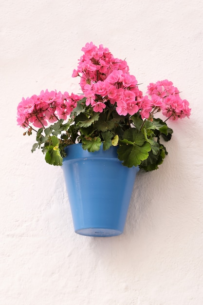 Parete imbiancata tradizionale del vaso di fiore del villaggio di Andalusia Spagna