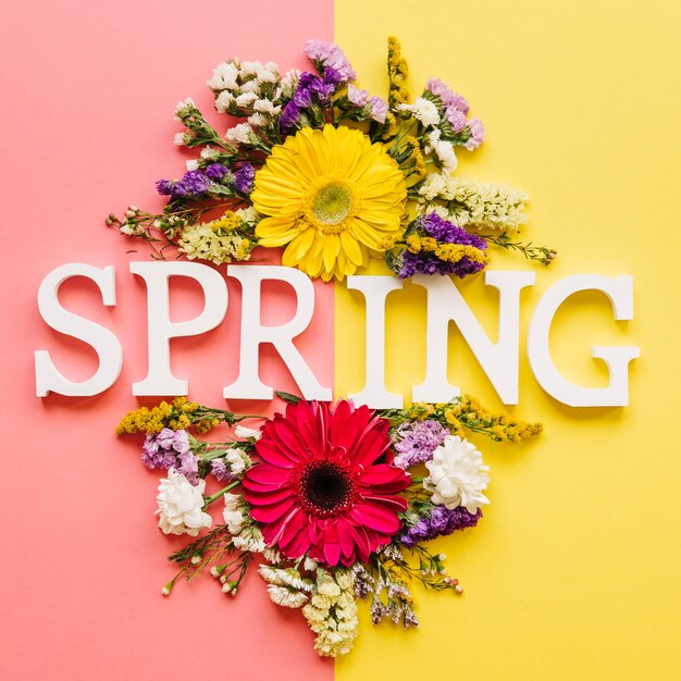 Parola di primavera in diversi fiori