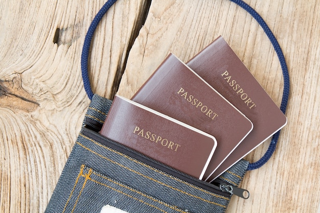 Passaporto in borsa di tessuto