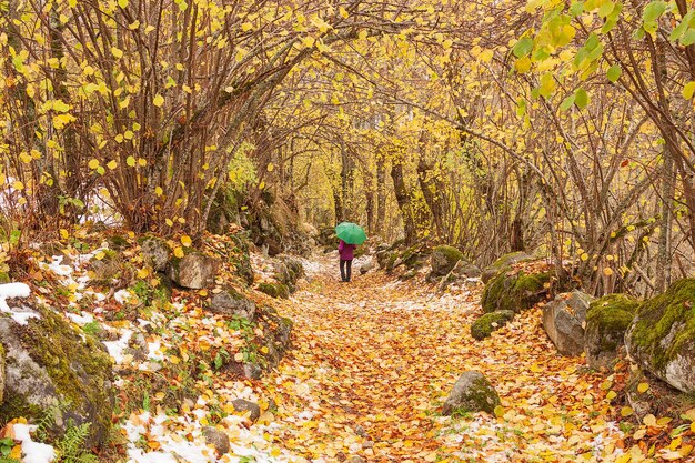 Passeggiata autunnale con la prima neve