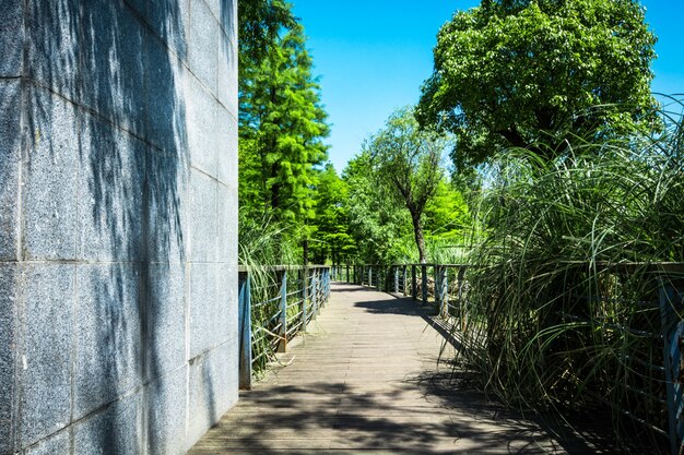 Passerella in giardino a Bangkok, Thailandia