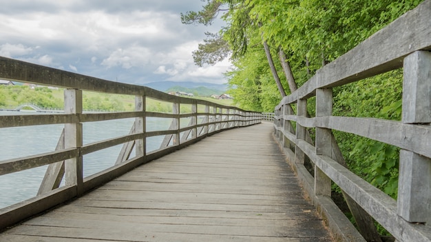 Passerella in legno circondata da acqua e alberi