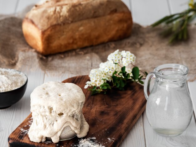 Pasta madre per fare il pane in casa