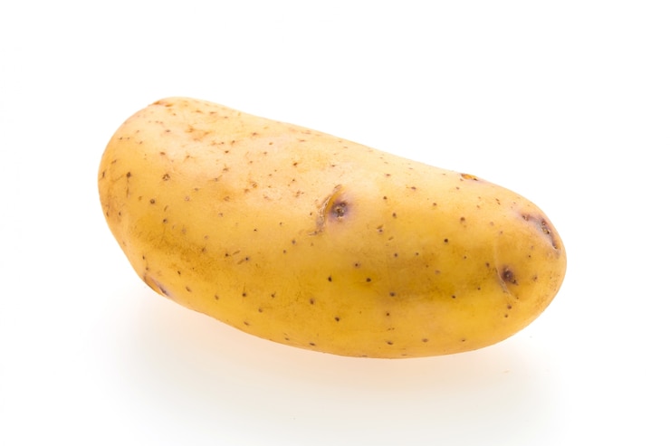 Foto gratuito patate autunno nutrizione, natura, dieta