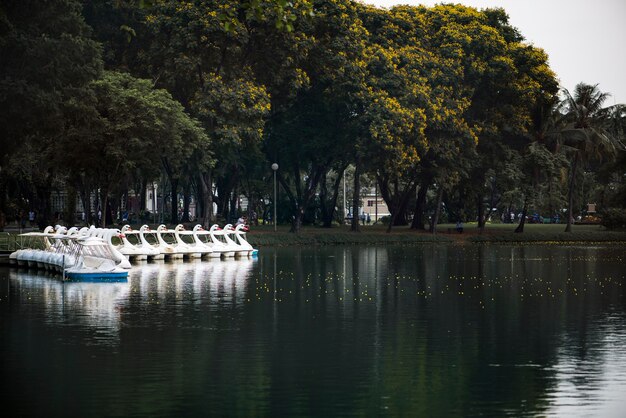 Pedalò Swan a Lumphini Park, Bangkok