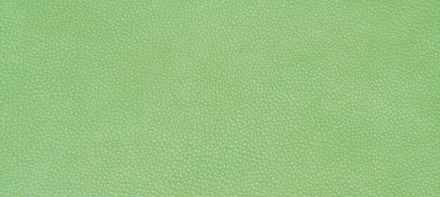 Pelle verde texture