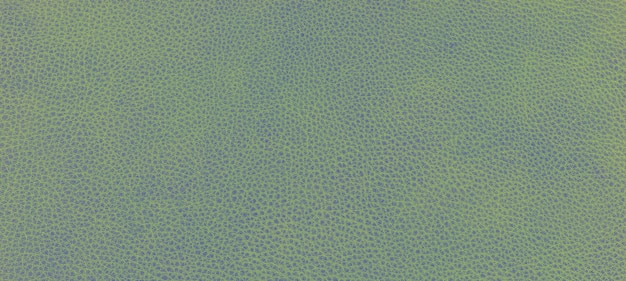 Pelle verde texture