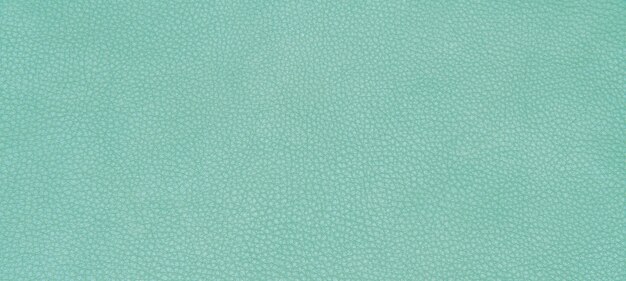 Pelle verde texture