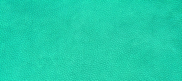 Pelle verde texture