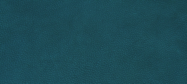 Pelle verde texture