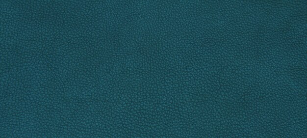 Pelle verde texture