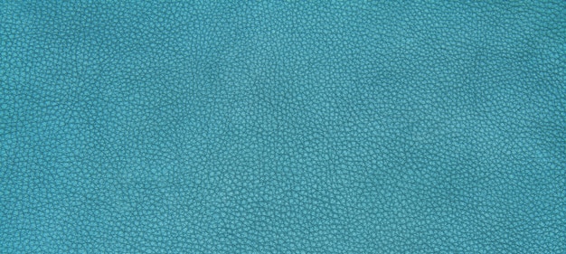 Pelle verde texture