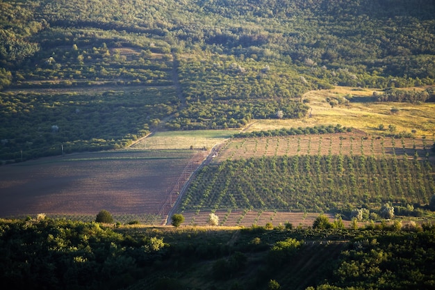 Pendio della collina con alberi in crescita, strada del villaggio con un camion e foresta in Moldova
