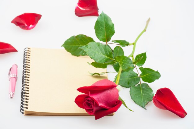 Penna di rosa e di rosa rossa con il taccuino su fondo bianco