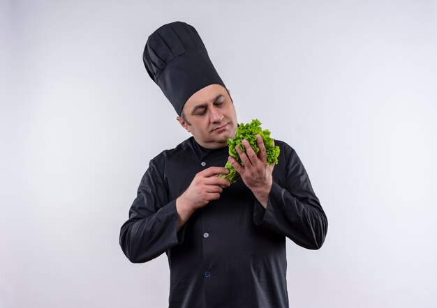 Pensando cuoco maschio di mezza età in uniforme da cuoco guardando insalata in mano