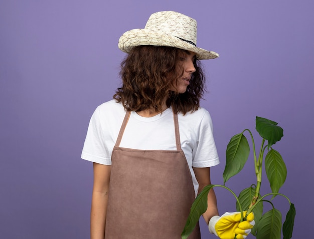 pensieroso giovane giardiniere femminile in uniforme che indossa guanti e cappello da giardinaggio tenendo e guardando la pianta isolata su viola