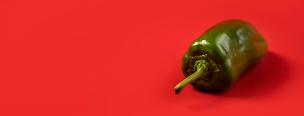 Peperoncino verde organico con spazio di copia