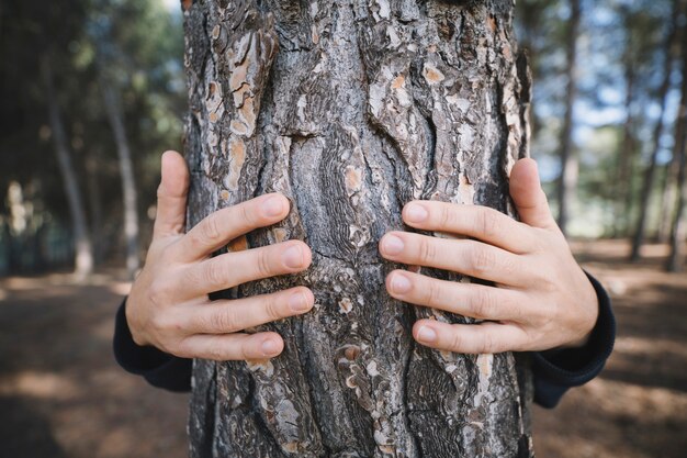 Persona anonima che abbraccia albero