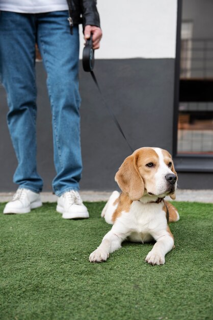 Persona anziana con il suo cane