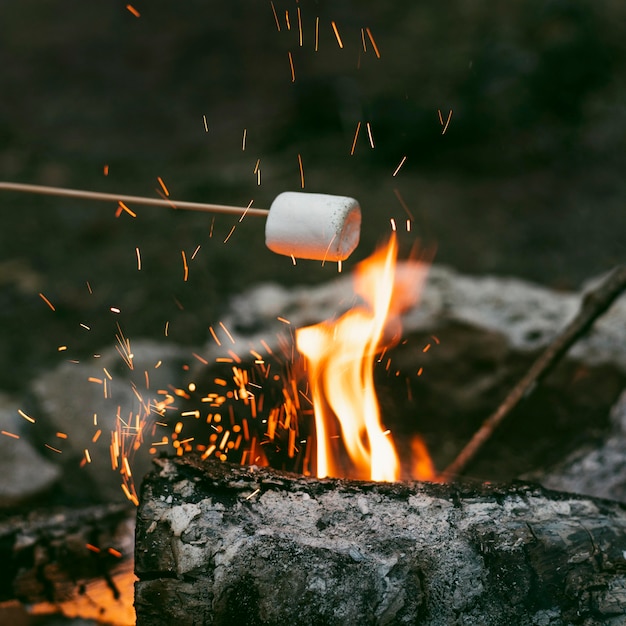 Persona che brucia marshmallow nel fuoco da campo