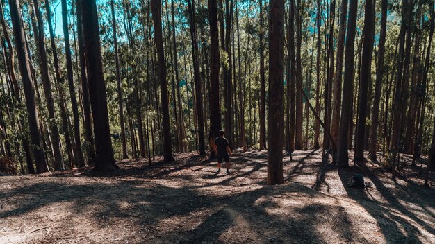 Persona che fa esercizi mattutini in una foresta a Rio de Janeiro