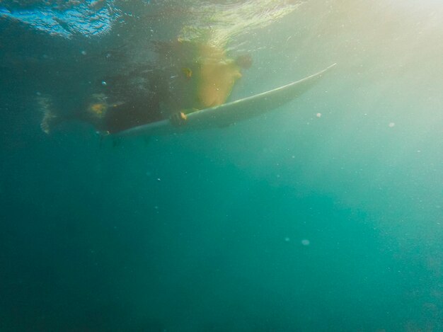 Persona che nuota sulla tavola da surf nell&#39;oceano