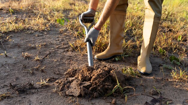 Persona che pianta albero in campagna