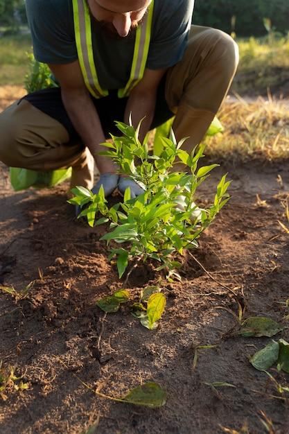 Persona che pianta albero in campagna