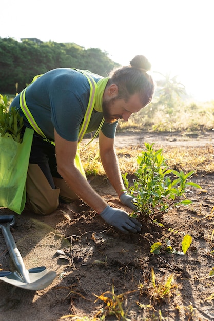 Persona che pianta albero in campagna